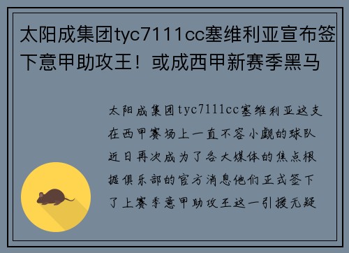 太阳成集团tyc7111cc塞维利亚宣布签下意甲助攻王！或成西甲新赛季黑马 - 副本
