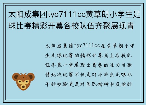 太阳成集团tyc7111cc黄草朗小学生足球比赛精彩开幕各校队伍齐聚展现青春风采